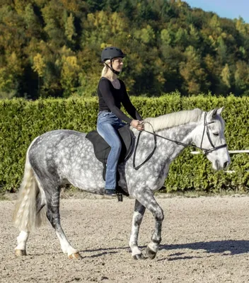 Produktbild von USG Reitkissen "Bareback", schwarz, schwarz, k.a.