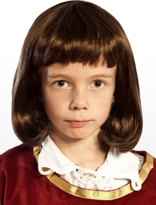 Produktbild von Prinz Eisenherz Perücke für Kinder