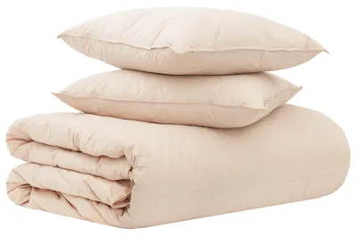 Immagine prodotto di Set di lenzuola vidaXL, 2 pezzi, 260 x 240 cm, adatto a tutte le stagioni, color beige