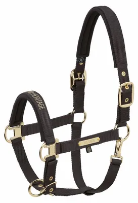 Image de Eskadron Heritage 25/26 Girth Double Pin Halfter