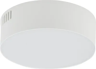 Image de Plafonnier LED rond ROUND blanc 15 W, blanc chaud, 1 500 lm, plastique, dimensions : 4 x 16 x 16 cm, IP20, Nowodvorski Lighting