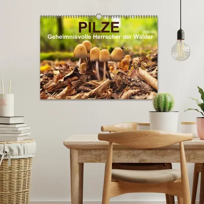 Produktbild von Pilze - Geheimnisvolle Herrscher der Wälder (Wandkalender 2026 DIN A3 quer), CALVENDO Monatskalender