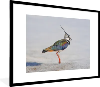 Produktbild von MuchoWow® Gerahmtes Poster Vogel - Tiere - Sand - Kiebitz 80x60 cm - Poster mit Schwarzem Bilderrahmen Wandposter Rahmen Foto Bilder - Schlafzimmer-Dekorationen - Fotoposter