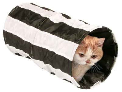 Zdjęcie produktu dla Hamak dla kota - Nylon - 50 cm - Do okna