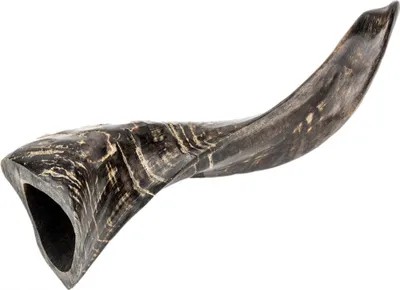 Produktbild von Schafhorn Natur, Länge 26-30cm,