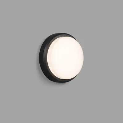 Image de Applique murale extérieure & plafonnier LED TOM 3000K IP65 gris foncé