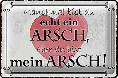 Produktbild von Blechschild Spruch 40x30cm manchmal bist du ein ARSCH aber