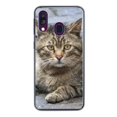 Produktbild von MuchoWow® Handyhülle Schutzhülle Hülle für Samsung Galaxy A40 Katze - Tier - Braun - Mädchen - Kinder - Jungen - Kind Silikon Softcase Handy Hülle - Handy-Tasche