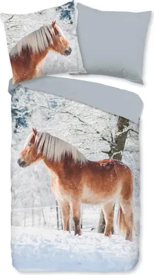 Zdjęcie produktu dla Muller Textiles 10052.99.28, Koc do nakrycia w zestawie, Poszewka na poduszkę dołączona