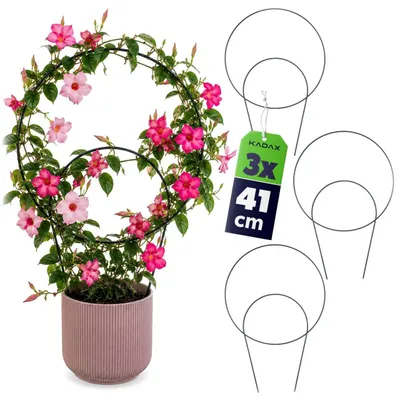 Produktbild von Blumen Rankhilfe - Metall Pflanzenstütze in Leiterform - Spalier für Kletterpflanzen - Für Garten und Kübel - 3-teiliges Set