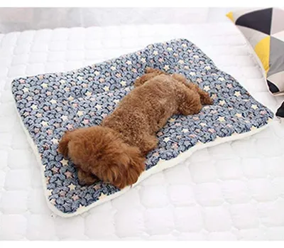 Immagine prodotto di Tappetino per cani, cuscino per cani, coperta per gatti, morbido, lavabile, blu, 71x54 cm