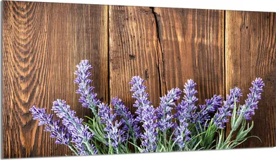 Produktbild von Glas-Herdplattenschutz 90x52 Lavendel