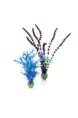 Obrázek produktu pro biOrb Plant set M blue & purple