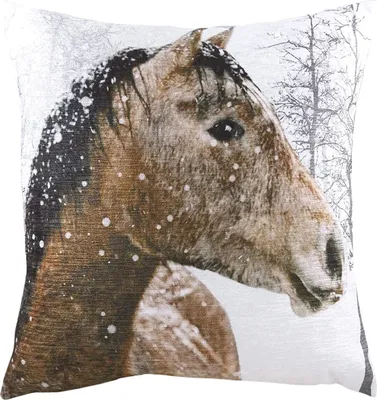 Immagine prodotto di Evans Lichfield - Cavallo - Copricuscino "Foto" RV1981 (taglia unica) (a colori)