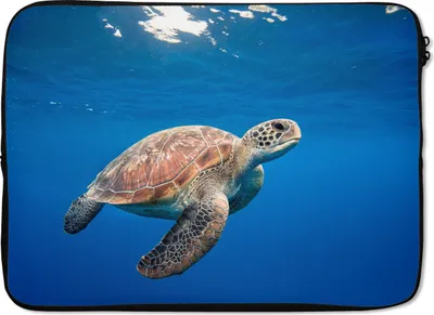 Produktbild von MuchoWow® Laptop Hülle 13 Zoll Schildkröte im Ozean Laptoptasche - Laptophülle - Sleeve - Rundumschutz