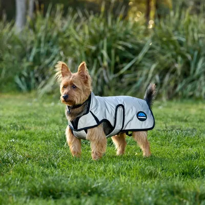 Produktbild von Weatherbeeta Comfitec Reflective Showerproof Dog Coat - Größe 55 - Hundedecke