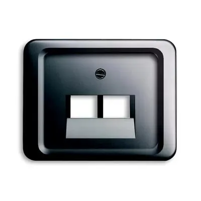 Produktbild von Busch-Jaeger Zentralscheibe UAE/IAE (ISDN) 2-fach Busch-Jaeger 1803-02-20 platin, 1 Stk.