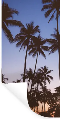 Produktbild von MuchoWow® Wandtattoo Wandsticker Wandaufkleber Palme - Tropisch - Sommer - Himmel 80x160 cm Selbstklebend und Repositionierbar - Sticker - Dekorfolie