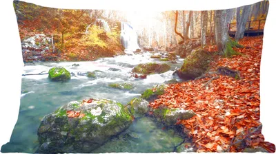 Produktbild von MuchoWow® Zierkissen Sofakissen Wohnzimmer Dekokissen 60x40 cm Natur - Sonne - Herbst - Kopfkissen - Polster mit Foto
