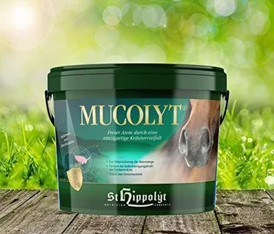 Produktbild von St. Hippolyt Mucolyt Atemwegskur | 10 kg