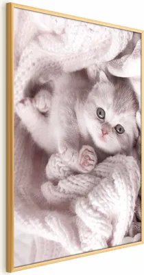 Produktbild von Posterpapier Poster - Lover of Rest 21x30 cm Tiere g-B-0137-ao-a