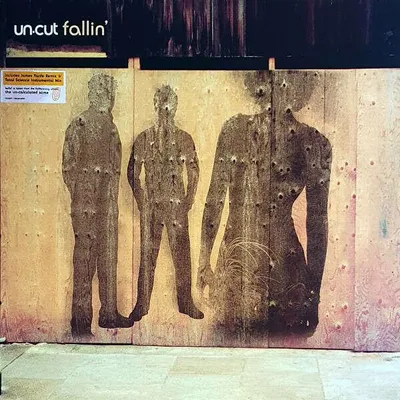 Produktbild von Fallin'