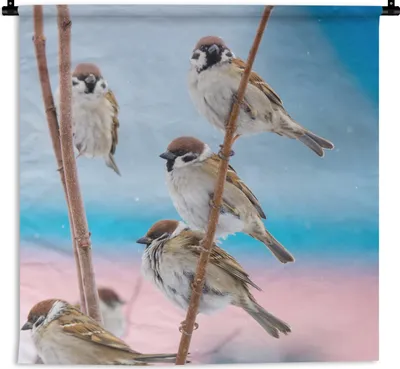 Produktbild von MuchoWow® Wandteppich Wandbehang Vögel - Spatz - Tiere - Äste 150x150 cm Tapisserie Dekoration Wandtuch - Wohnaccessoires - Modernes