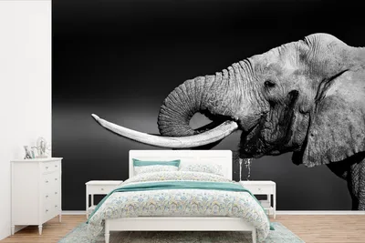 Produktbild von MuchoWow® Fototapete für Wohnzimmer oder Schlafzimmer Wandtapete Vinyl Motivtapete Elefant - Wasser - Schwarz - Weiß - 330x220 cm - Fototapeten