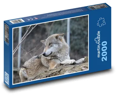 Obrázok produktu pre Puzzle 2000 Oddychujúci vlk v zoo - martinpuzzle
