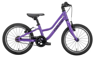 Produktbild von Naloo Chameleon 16" violett