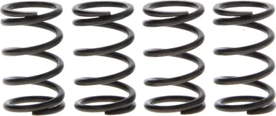Zdjęcie produktu dla Kupplungsfedern Kawasaki Klx 110 A 02-04