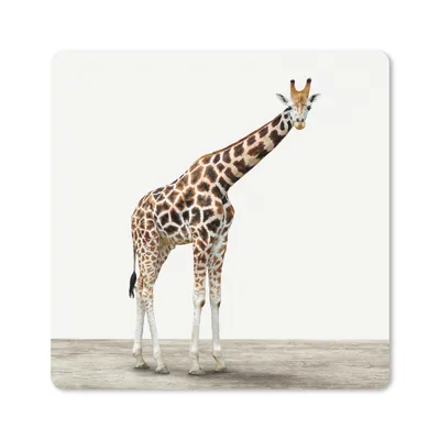 Produktbild von MuchoWow® Mauspad Mousepad Tier - Giraffe - Weiß 30x30 cm - Mousepads - Maus Mat - Pad - Mausunterlage - Gaming