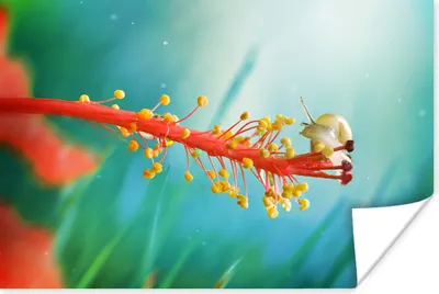 Produktbild von MuchoWow® Poster Schnecke - Pflanze - Baum 30x20 cm - Plakate - Print