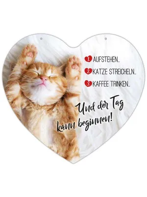 Produktbild von Herz Blechschild Katze streicheln HB023