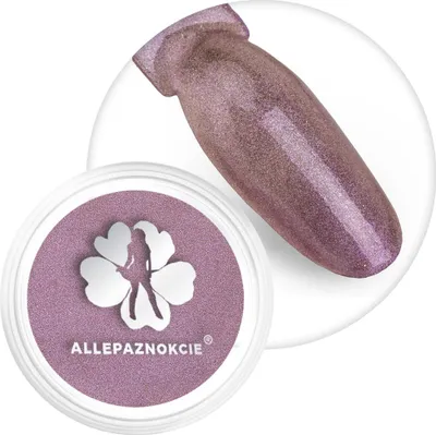 Produktbild von Chamäleon-Effekt-Nagelpuder Allepaznokcie Nr. 6