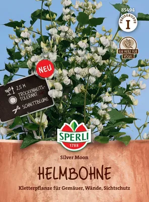 Produktbild von SPERLI Helmbohnensamen Silver Moon Dolichos lablab 10 Pflanzen