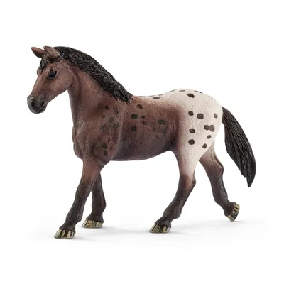 Produktbild von schleich HORSE CLUB 13861, 5 Jahr(e), Mehrfarbig, Kunststoff, 1 Stück(e)