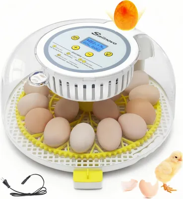 Produktbild von 18 Eier Inkubator Brutautomaten, Vollautomatisch Brutkasten mit LED-Licht und Temperaturregelung, Automatische Wendung der Eier, Einstellbare Abstände