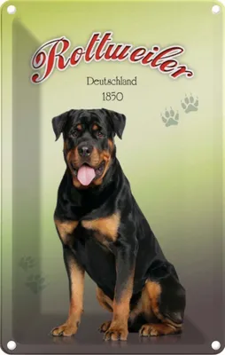 Produktbild von vianmo Blechschild 30x20 cm Hund Rottweiler Deutschland 1850 Tier Haustier