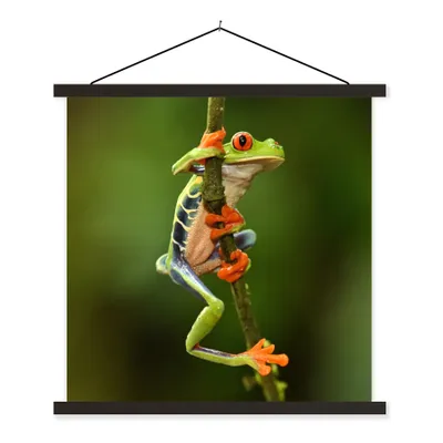 Produktbild von MuchoWow® Textilposter Rotaugenlaubfrosch im Dschungel 90x90 cm mit schwarzem Rahmen - Magnetisches