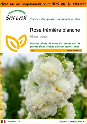 Image de SAFLAX Garden in the bag - Rose trémière blanche - 100 graines - Alcea