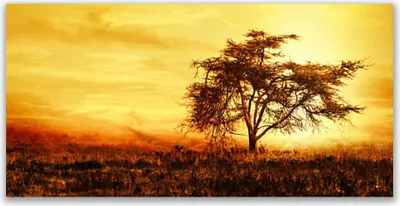 Produktbild von Tulup Leinwand-Bilder 140x70 Wandbild Canvas Kunstdruck Baum Natur
