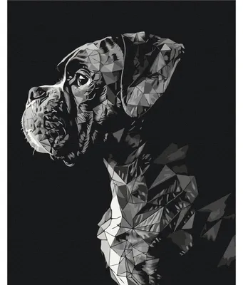 Image de Peinture par numéros BRUSHME 40x50 cm chien
