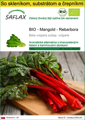 Obrázok produktu pre SAFLAX Kultivačný set - BIO - Mangold - Rebarbora - Beta vulgaris subsp. vulgaris - 50 Semená - S mini skleníkom, pestovateľským substrátom a 2 črepníkmi