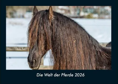 Produktbild von Die Welt der Pferde 2026 Fotokalender DIN A4
