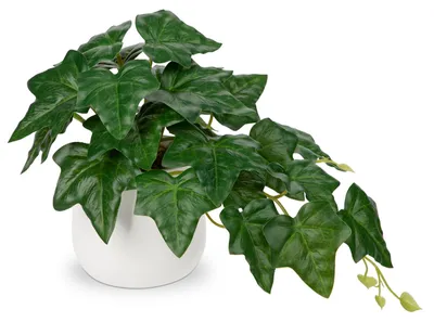 Productafbeelding van Kunstplanten in kleine keramische potten, kunstplanten (philodendron) in potten, moderne decoratie voor thuis, kantoor, badkamer, keuken en woonkamer, slaapkamer, kantoor