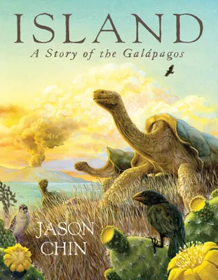 Produktbild von Island