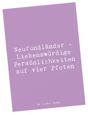 Produktbild von Mr. & Mrs. Panda Postkarte Spruch Neufundländer Persönlichkeiten - Lavendeltraum - Geschenk, Ansichtskarten, Fotokarte, Grußkarte, Hunde, Haustiere, Hunderasse, sanfter