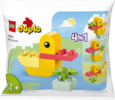 Produktbild von Meine erste Ente