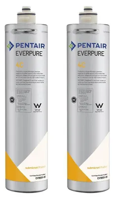 Two identical water filter cartridges are shown side-by-side against a white background.